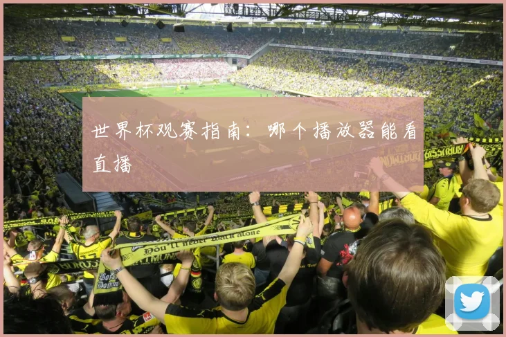 世界杯观赛指南:哪个播放器能看直播
