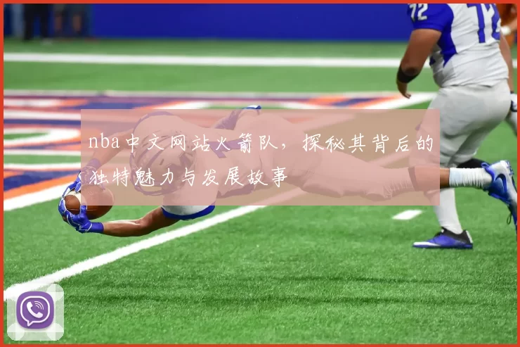nba中文网站火箭队，探秘其背后的独特魅力与发展故事